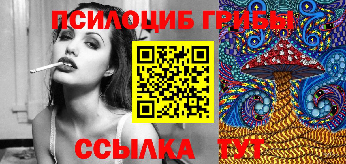 Псилоцибиновые грибы Psilocybine cubensis  Вход с VPN  Псилоцибиновые грибы Psilocybine cubensis  Михайловск 