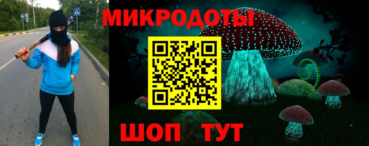 Псилоцибиновые грибы мицелий Михайловск